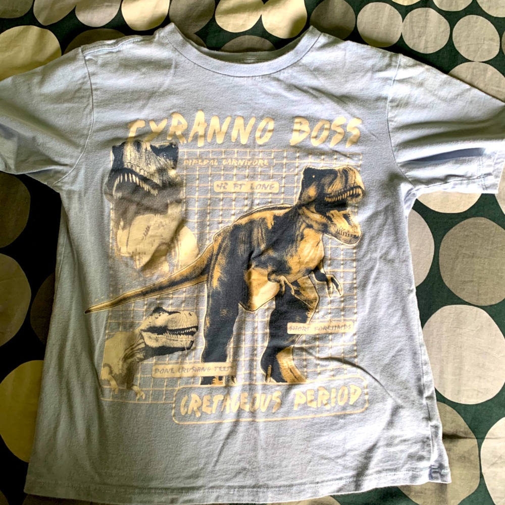 Children’s place baby blue boys T-shirt 8/10